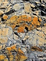 Canadian Abstract 017 Copyright Villayat Sunkmanitu
